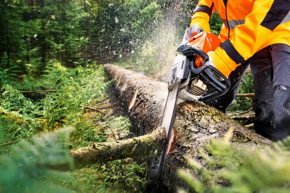 Formation Abattage d'Arbres en Sécurité